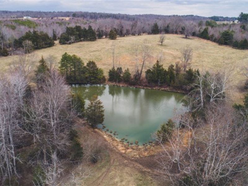 Large Farm Acreage in Halifax VA : Halifax : Halifax County : Virginia