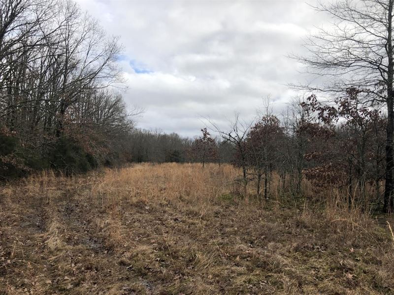 Old Military Road Tract, Farm for Sale in Arkansas, #185582 : FARMFLIP