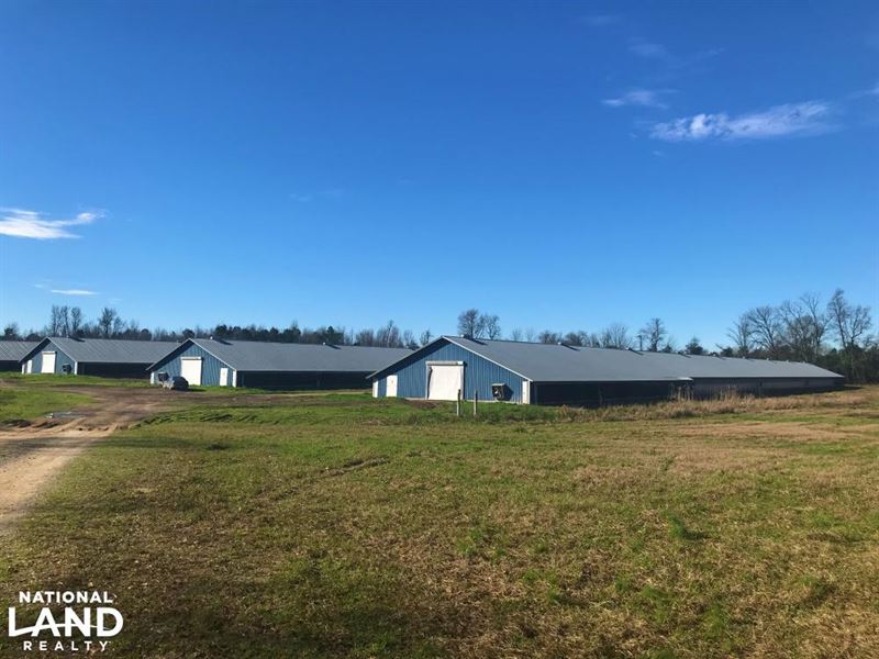 Williston Poultry Farm, Farm for Sale in South Carolina, #185757 : FARMFLIP