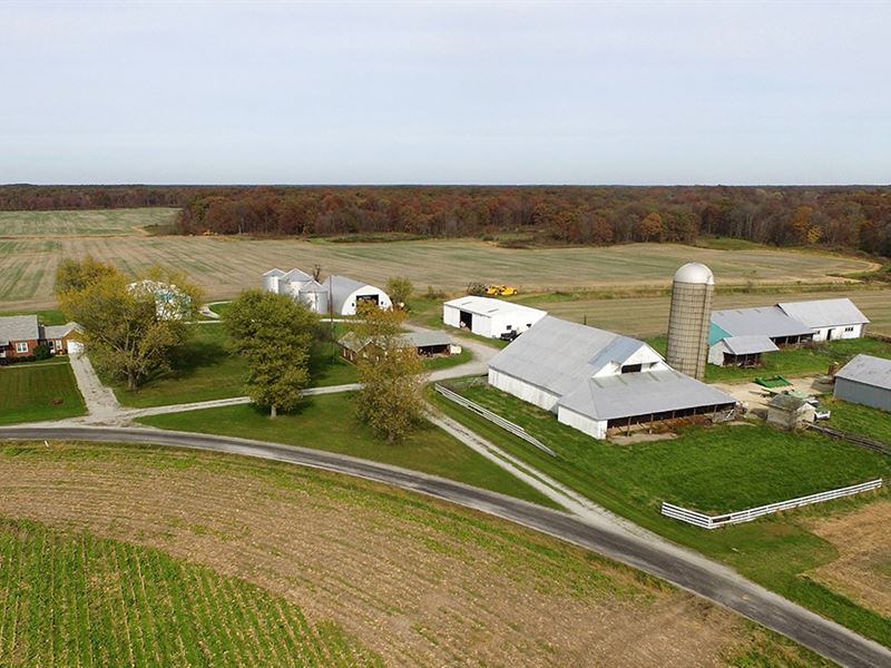 Marion County Farmland Auction : Salem : Marion County : Illinois