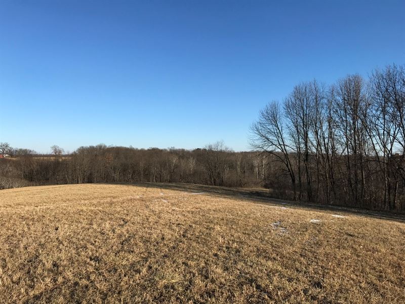 In The Heart Of The Driftless Area, Farm for Sale in Wisconsin, #186579 ...