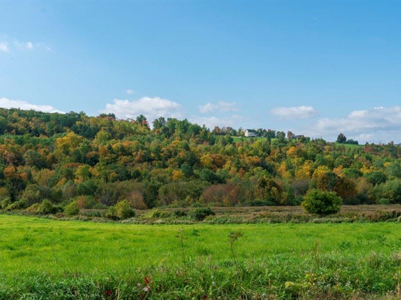 Upstate Farm Land Sale, Farm for Sale by Owner in New York, 186592