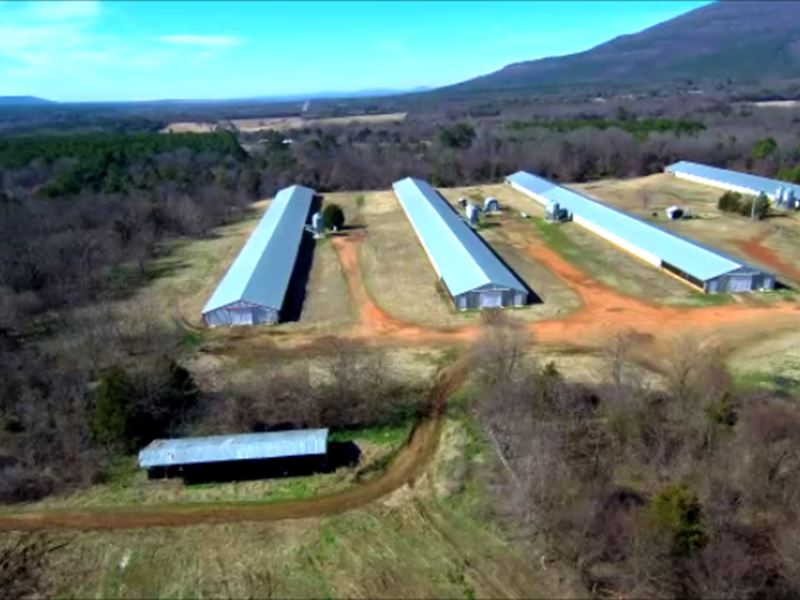 Broiler Farm, 4 Houses, 70 Acres : Hartford : Sebastian County : Arkansas