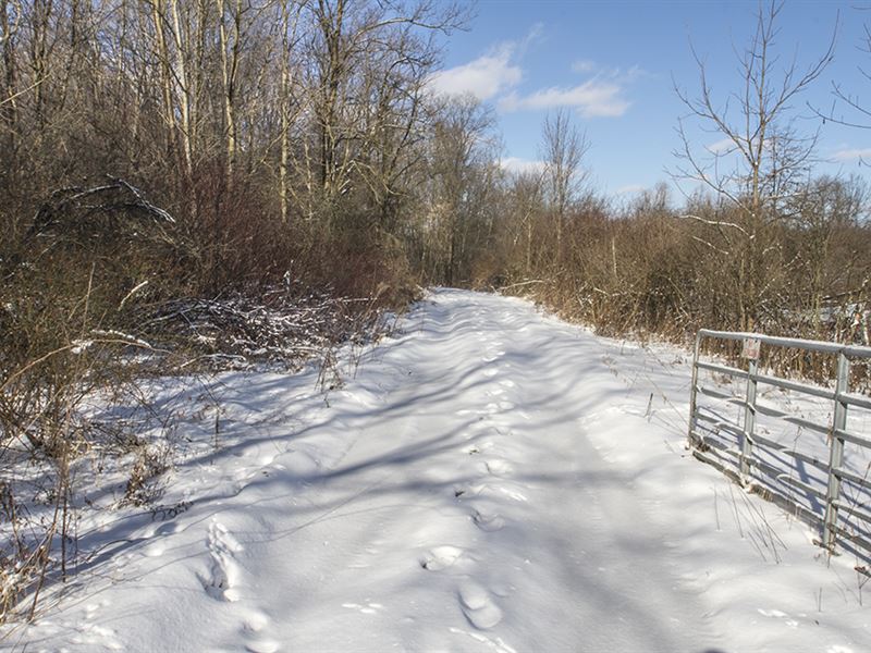 Leffingwell Rd, 33 Acres : Berlin : Mahoning County : Ohio