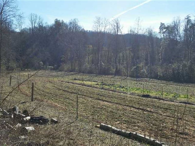 210 Acres, Ferguson, Wilkes County, Farm for Sale in North Carolina