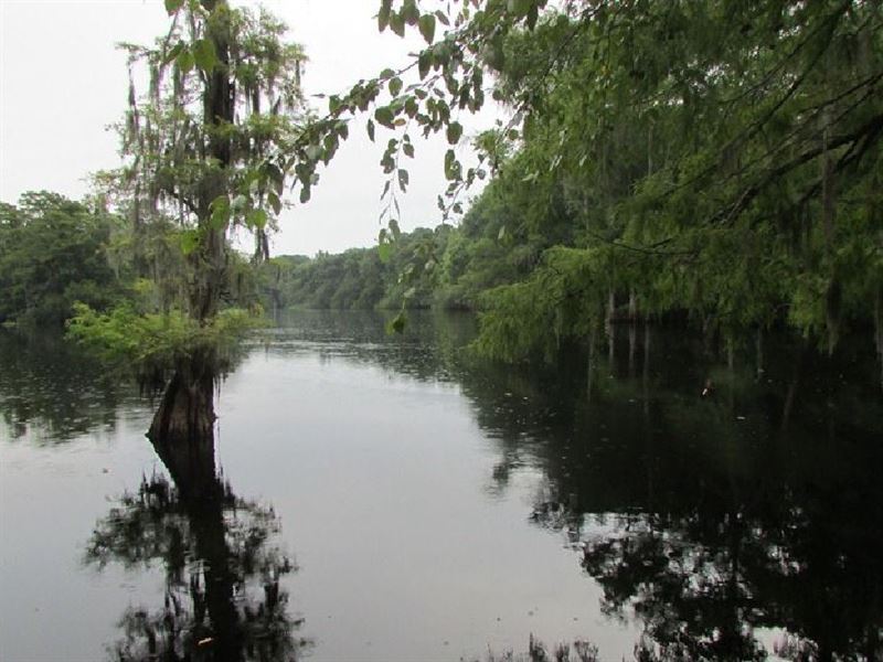 Mullins-Little Pee Dee River Tract, Farm for Sale in South Carolina ...