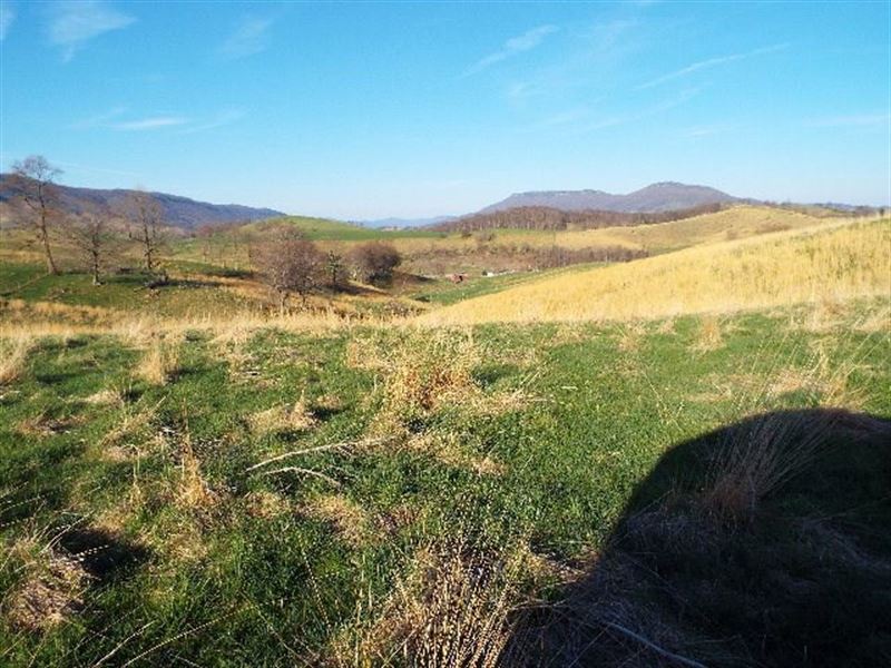 Farm Land Thompson Valley : Tazewell : Tazewell County : Virginia