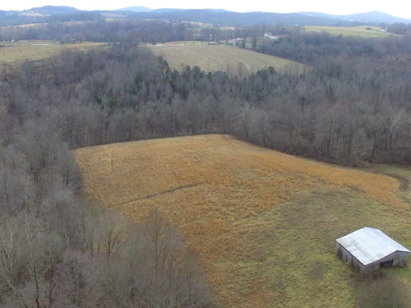 Hobby Farm Barn-Pasture-Some : Yosemite : Casey County : Kentucky