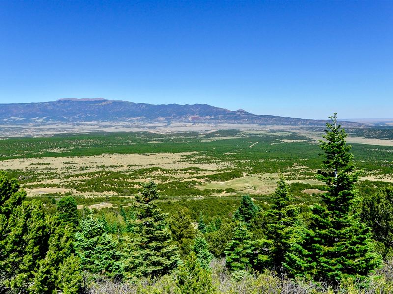 Wooded Lot On Mountain By Blm Land, Farm for Sale by Owner in Colorado ...