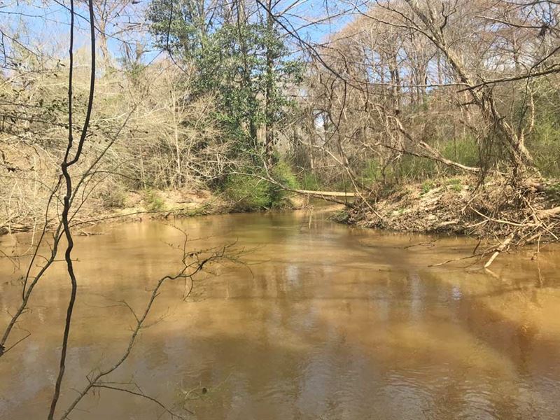 Pigeon Creek Tract : Farm For Sale In Greenville, Butler County 