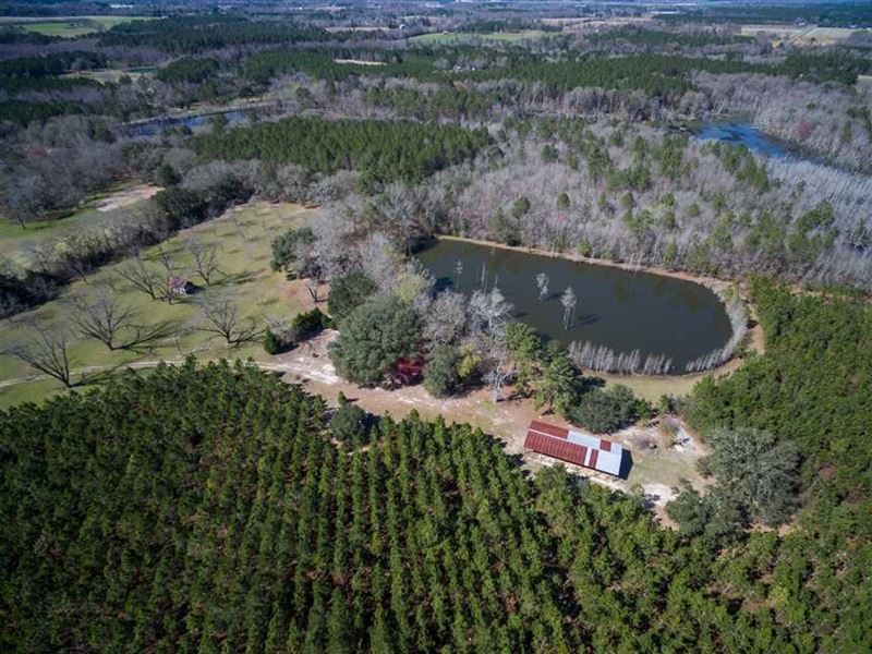 Birdford Place Pond House And Timb, Farm For Sale In Georgia, #190952 ...