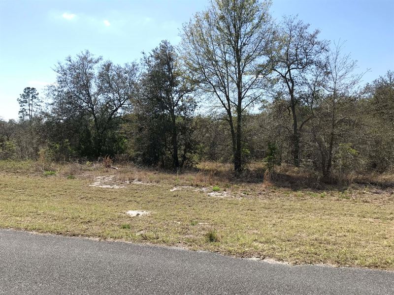 5.05 Acres Deer Meadows Farm for Sale in Live Oak, Suwannee County