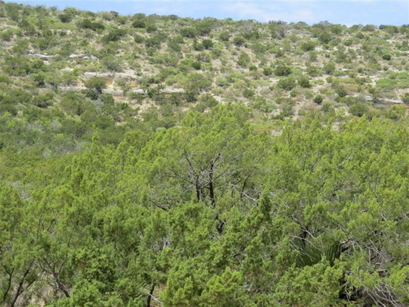 23 Acres, Water Well : Robert Lee : Coke County : Texas