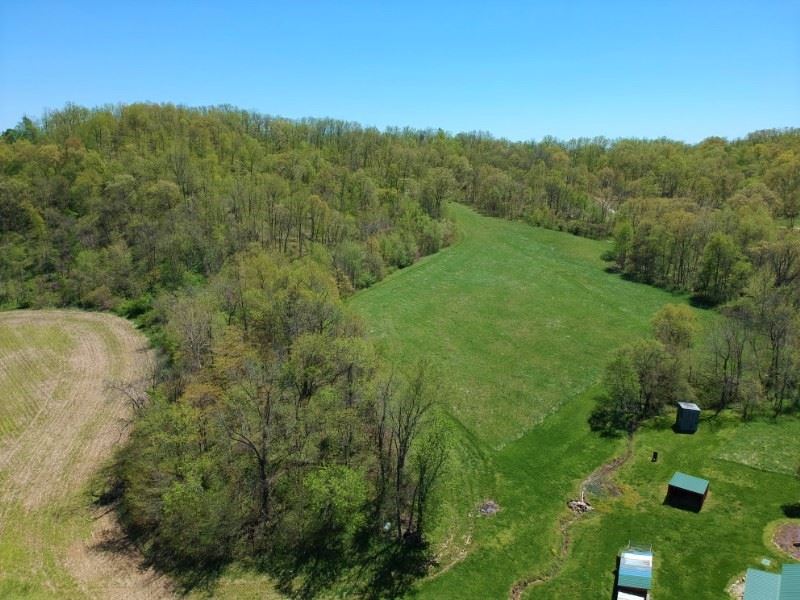 Bay Creek Bluff Farm : Nebo : Pike County : Illinois