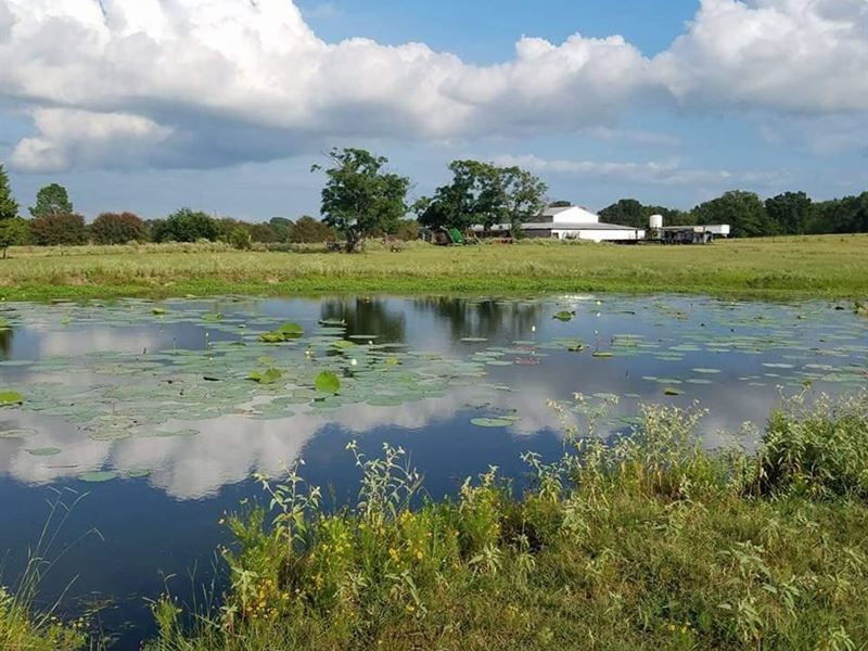 Whitton VZ Ranch : Canton : Van Zandt County : Texas