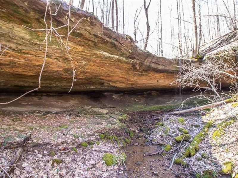 Tick Ridge, 570 Acres : Wheelersburg : Scioto County : Ohio