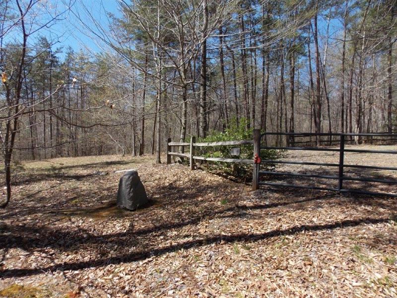 Land Well & Septic Patrick County, Farm for Sale in Virginia, 196465