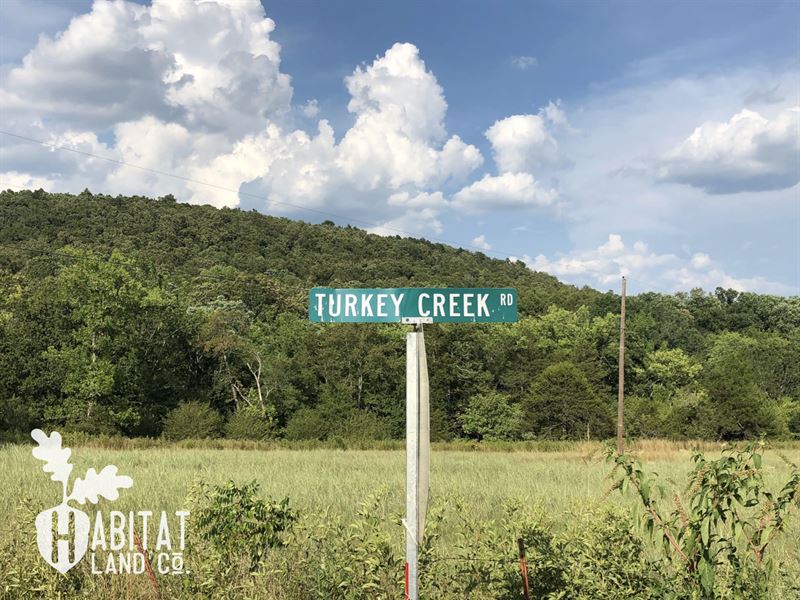 Turkey Creek : Mountain View : Stone County : Arkansas