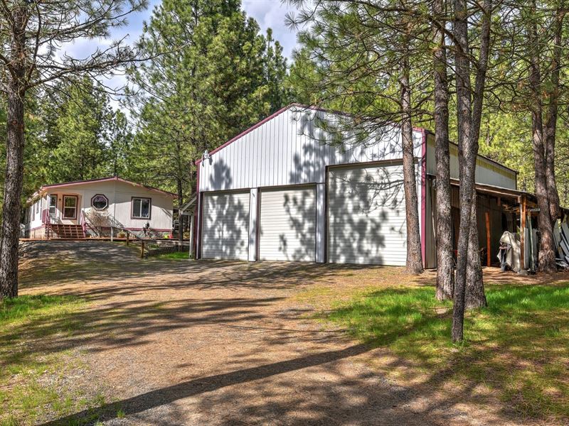 Lake Roosevelt, Wa, Country Home, Farm for Sale in Washington, 197626