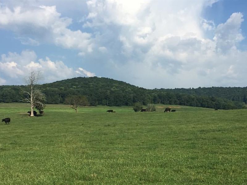 Beautiful Farm with Excellent Views : Sparta : White County : Tennessee