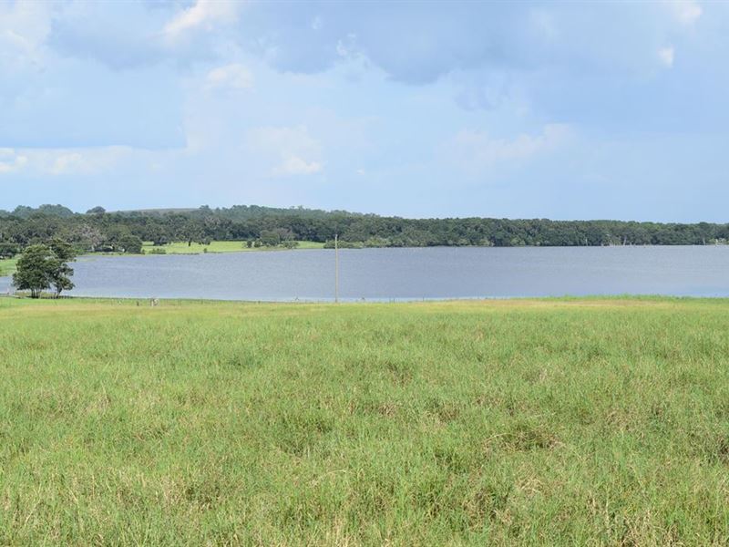 38 Ac Lakefront, Possible 2-3 Homes, Farm for Sale in Florida, #198738 ...