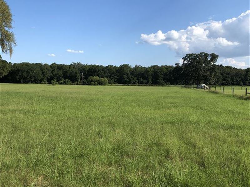 Owner Financing Beautiful Pasture, Farm for Sale in Florida, #199958 ...