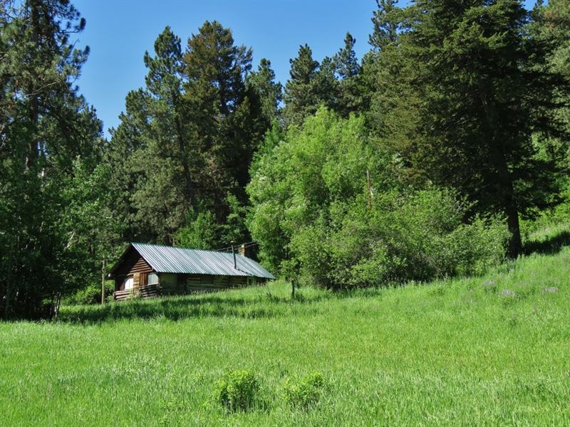 Lewistown Montana Log Cabin Land : Lewistown : Fergus County : Montana