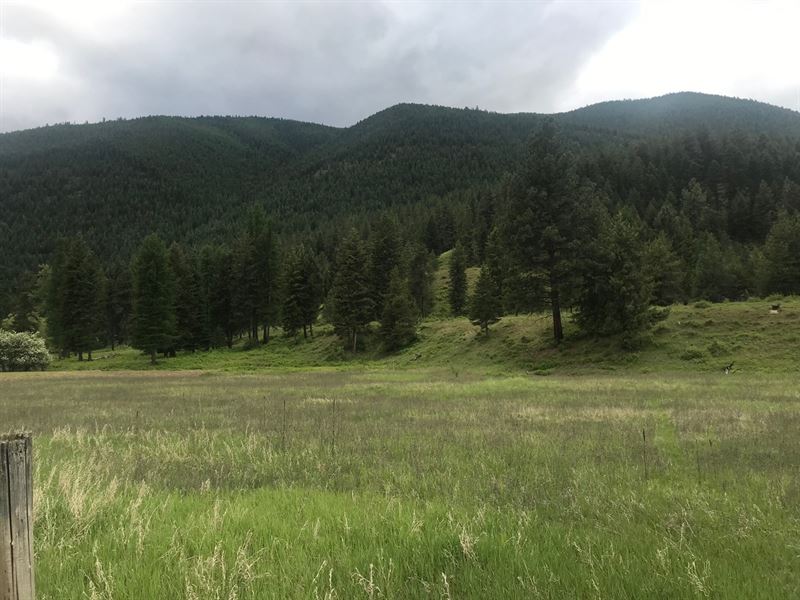 A Great Place to Live Your Montana : Farm for Sale in Saltese, Mineral