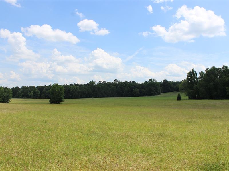 Riverfront Pasture Land, Farm for Sale in 201629 FARMFLIP