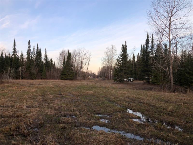 Blackduck MN Hunting Land Shooks : Blackduck : Beltrami County : Minnesota