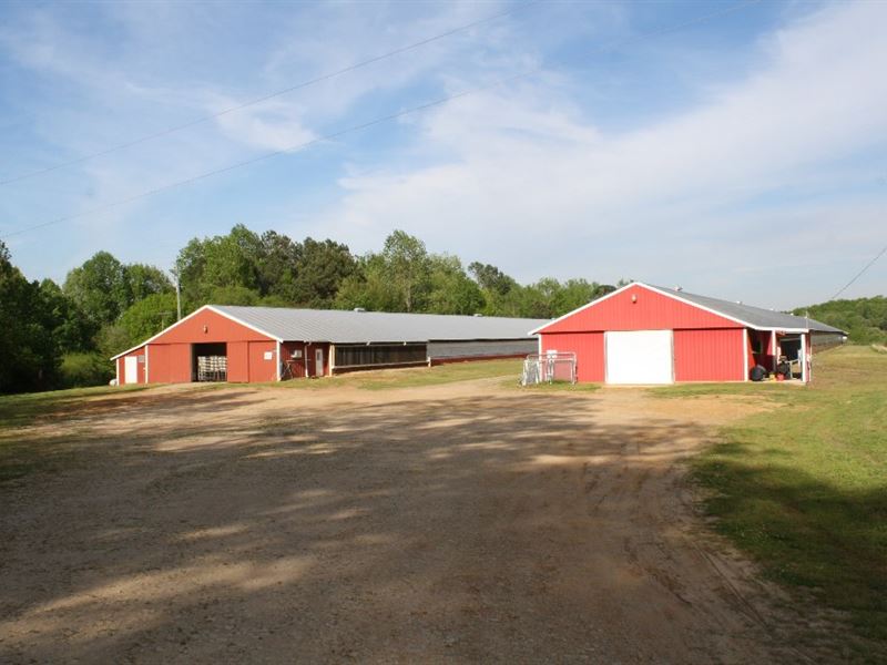 Cleburne Cty Breeder & Cattle Farm, Farm for Sale in Alabama, #201858 ...