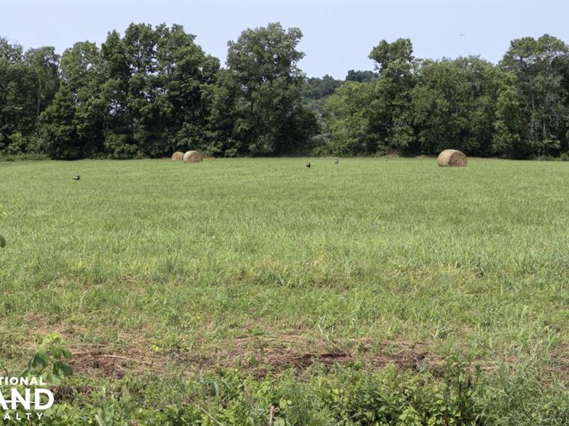 513 Acre Cattle Farm on The Green : Liberty : Casey County : Kentucky