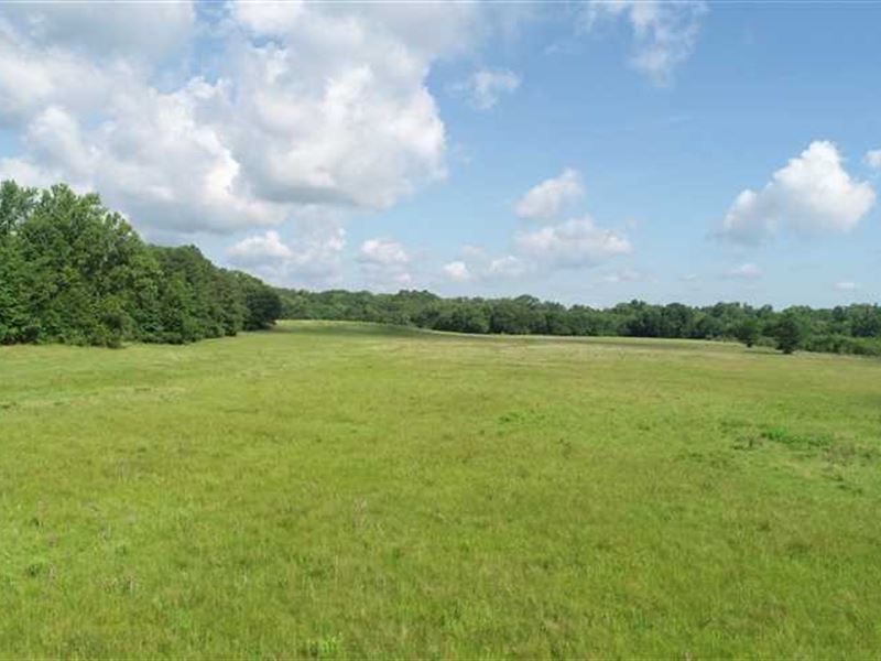 The Stonewall Pastures, Desoto Par : Stonewall : De Soto Parish : Louisiana