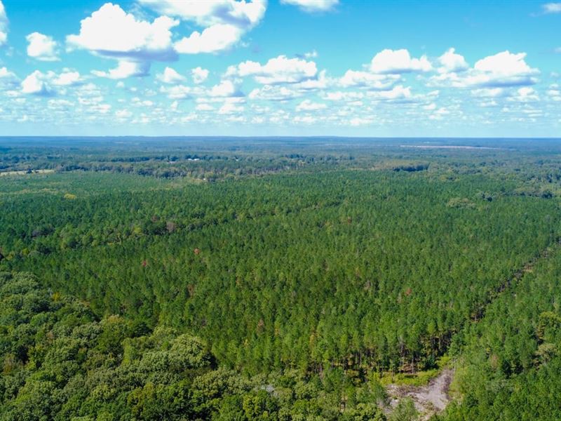 Clay County, 64 Acres, Tom Valent : Pheba : Clay County : Mississippi