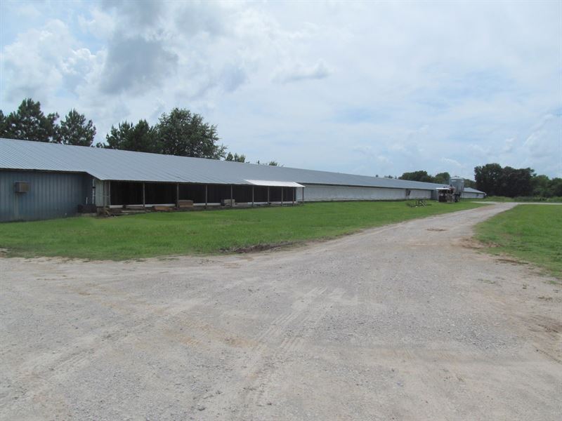 Poultry Farm, East Texas, Gilmer, Farm for Sale in Texas, #205098 ...