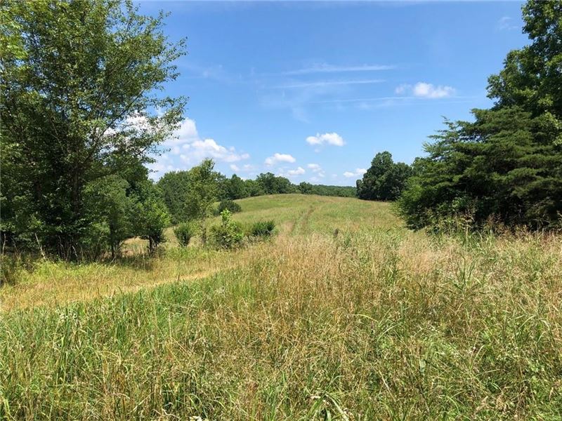 50 Acres For Sale In Pickens Co, Ga : Farm for Sale in Fairmount ...