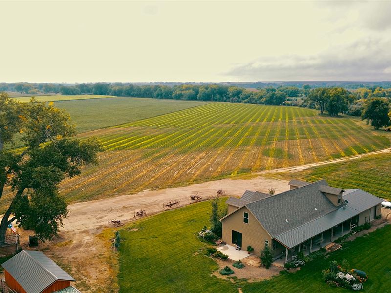 Arkansas River Irrigated Farm : Olney Springs : Crowley County : Colorado