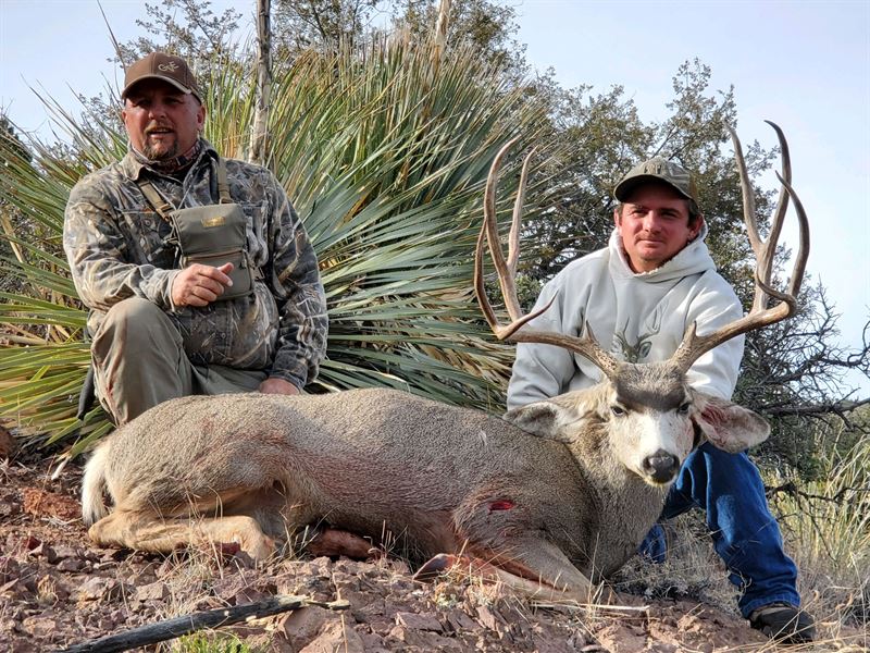 Sawmill Creek Ranch : Mule Creek : Grant County : New Mexico