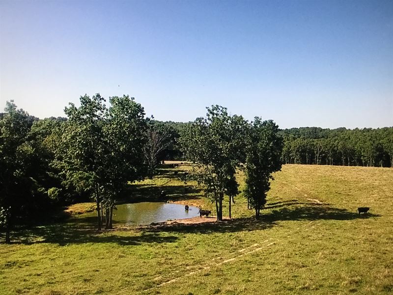 Missouri Farm Joins National Forest : West Plains : Howell County : Missouri