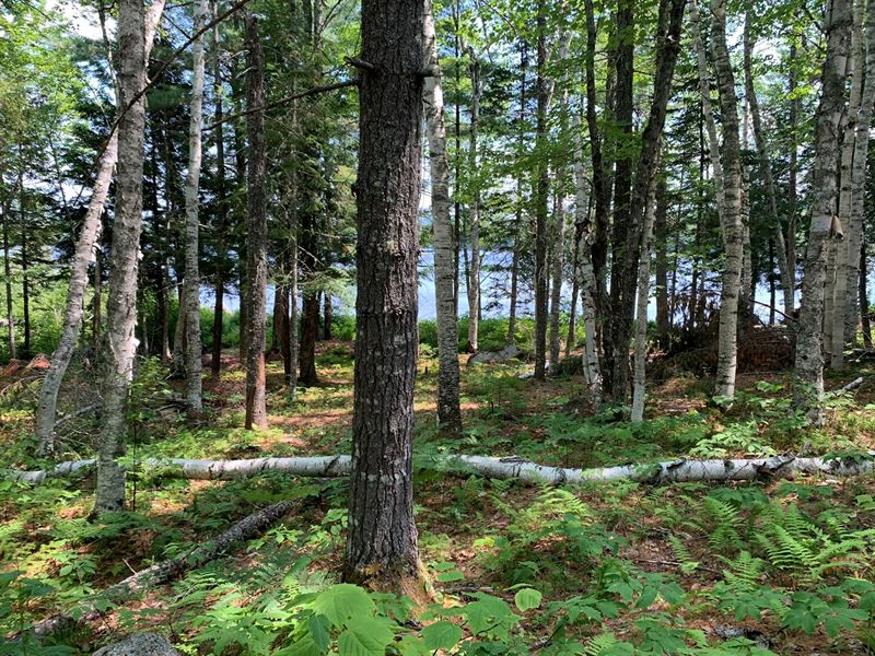 Lakefront Land for Sale in Maine, Farm for Sale in Maine, 210007