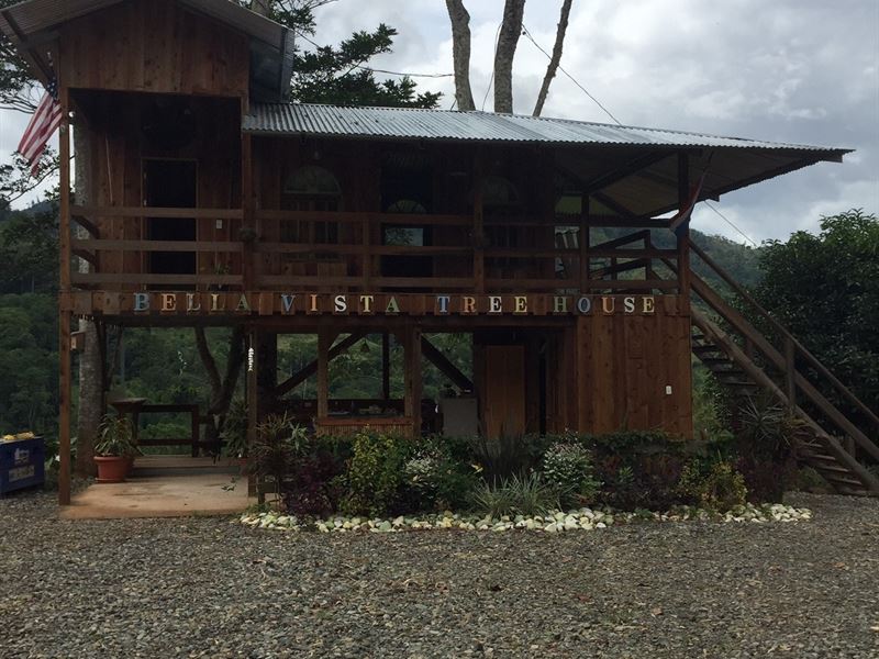 9 Ac Self Sufficient Farm, 2 Cabins : Pejibaye : Costa Rica