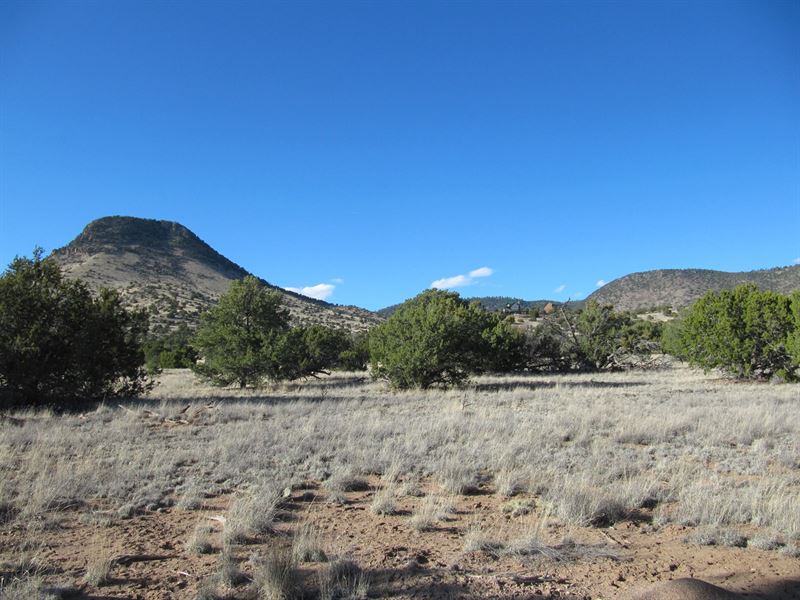 Wonderful Views Sugarloaf Mountain : Farm for Sale in Datil, Catron ...