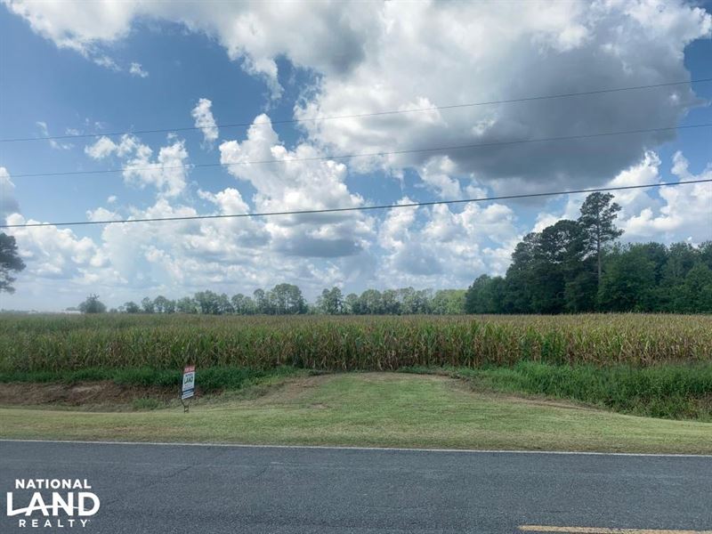 Penderlea Farm Land & Homestead, Farm for Sale in North Carolina