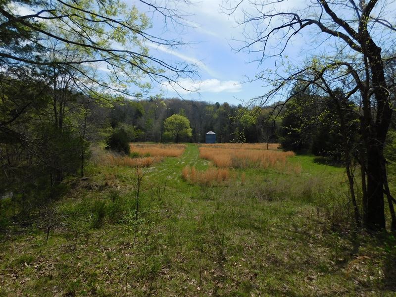 Country Home with Acreage for Sale : Clifton : Wayne County : Tennessee