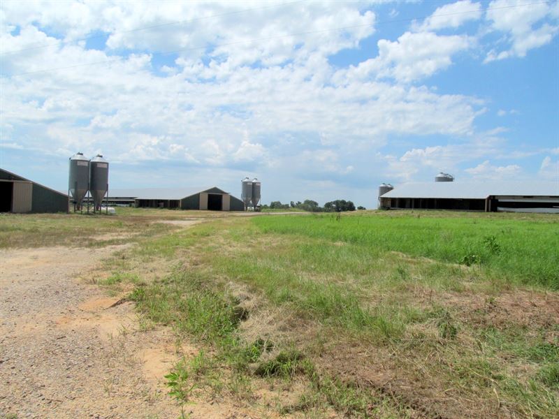 Poultry Broiler Farm East Texas : Pickton : Hopkins County : Texas