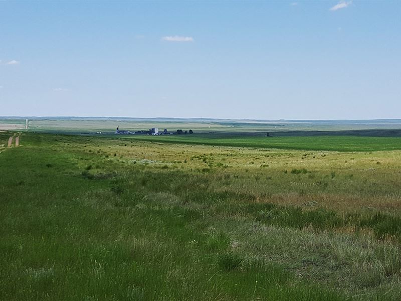 Richland Grass Ranch : Farm for Sale in Richland, Daniels County ...