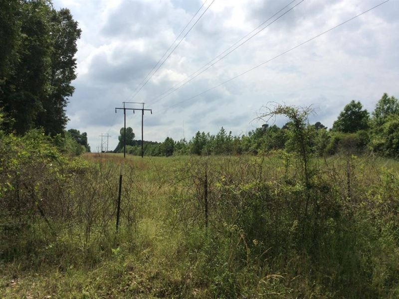 Hunter Road Tract, Winn Parish, 35 : Winnfield : Winn Parish : Louisiana