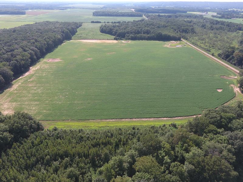 40 Acre Farm, Big Deer & Turkey, Farm for Sale in Arkansas, 213069