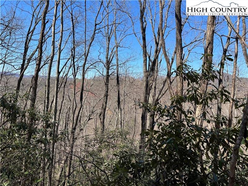 6 Acres, Lot 305 Sleepy Creek, Farm for Sale in North Carolina, 214130