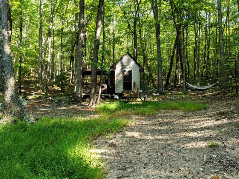 Survivalist Cabin, 47.5 Acres, Farm for Sale in Virginia, #214397 ...